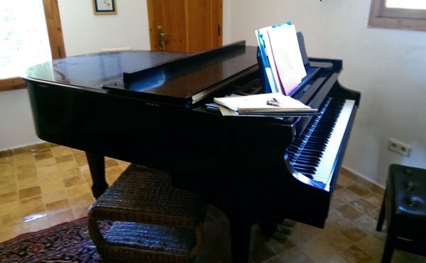Grand piano at G�l Baba House